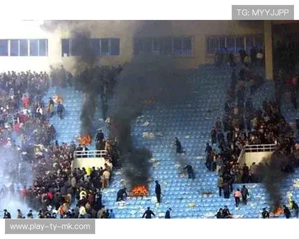 球迷骚乱事件增加，多国加强赛场安全管理